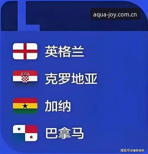 乐鱼APP iOS版vs中国官方主页2026最新版本：观赛体验有多大不同？