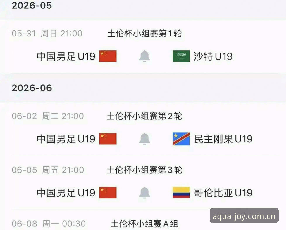 乐鱼CN赛事数据端 揭秘U19国足土伦杯0-3溃败背后:那一夜,中国足球的暗夜与微光